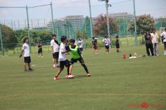 Rookeis0802-217