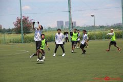 Rookeis0802-218
