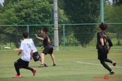 Rookeis0802-22