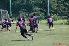 Rookeis0802-229