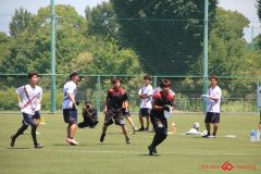 Rookeis0802-239