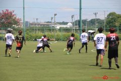 Rookeis0802-243