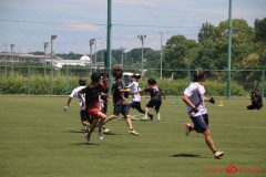 Rookeis0802-244