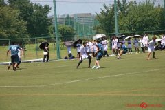 Rookeis0802-250