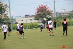 Rookeis0802-256