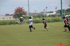 Rookeis0802-259