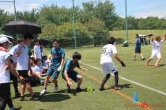 Rookeis0802-272