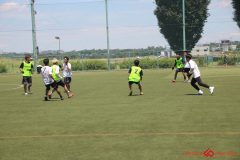 Rookeis0802-280