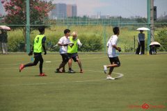Rookeis0802-286