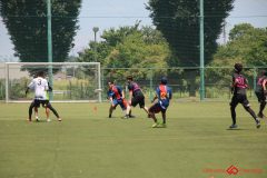 Rookeis0802-300