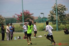Rookeis0802-307