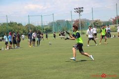 Rookeis0802-308