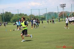 Rookeis0802-309