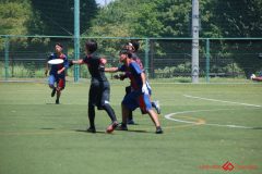 Rookeis0802-311
