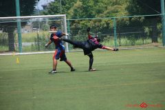 Rookeis0802-312