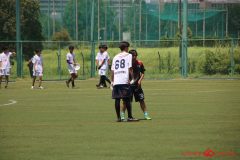 Rookeis0802-317