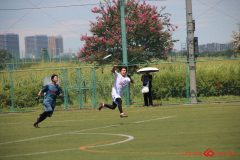 Rookeis0802-324