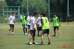 Rookeis0802-330