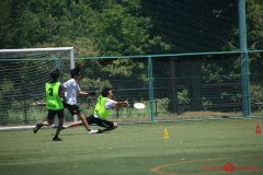 Rookeis0802-350