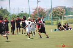 Rookeis0802-401