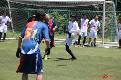 Rookeis0802-409
