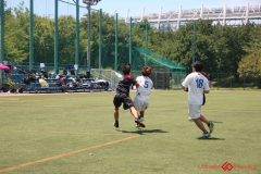 Rookeis0802-410