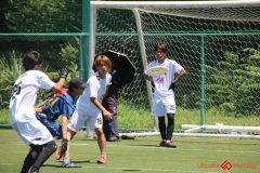 Rookeis0802-417