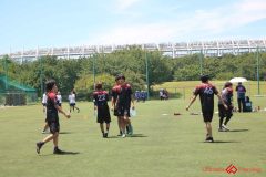 Rookeis0802-419