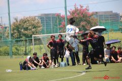 Rookeis0802-424