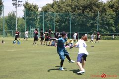 Rookeis0802-431