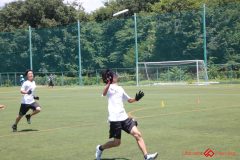 Rookeis0802-472