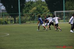 Rookeis0802-490