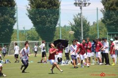 Rookeis0802-504