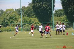 Rookeis0802-510