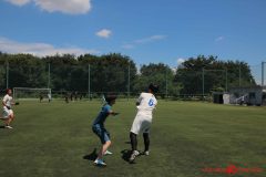 Rookeis0802-531