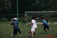 Rookeis0802-540