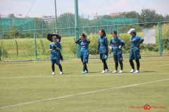 Rookeis0802-638