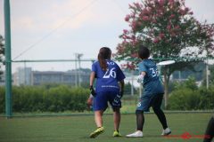 Rookeis0802-701