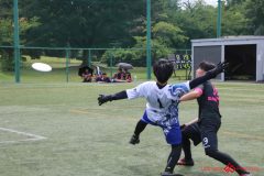 Rookeis0802-72