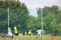 Rookeis0802-780