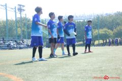 Rookeis0802-827