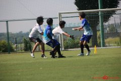 Rookeis0802-832