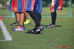 Rookeis0802-864