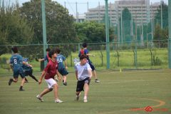Rookeis0802-9