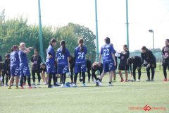 Rookeis0802-901