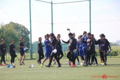 Rookeis0802-905
