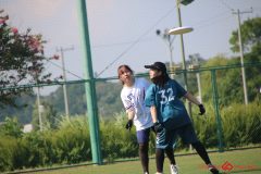 Rookeis0802-907