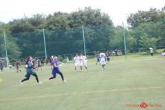 Rookeis0802-99