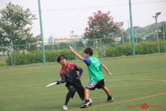 Rookeis0803-119