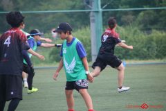 Rookeis0803-133